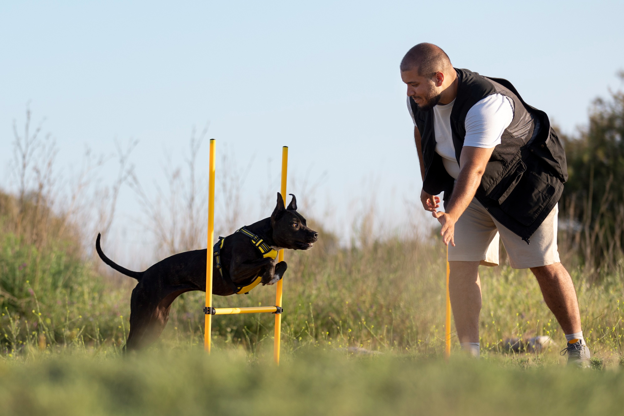 Happy Training